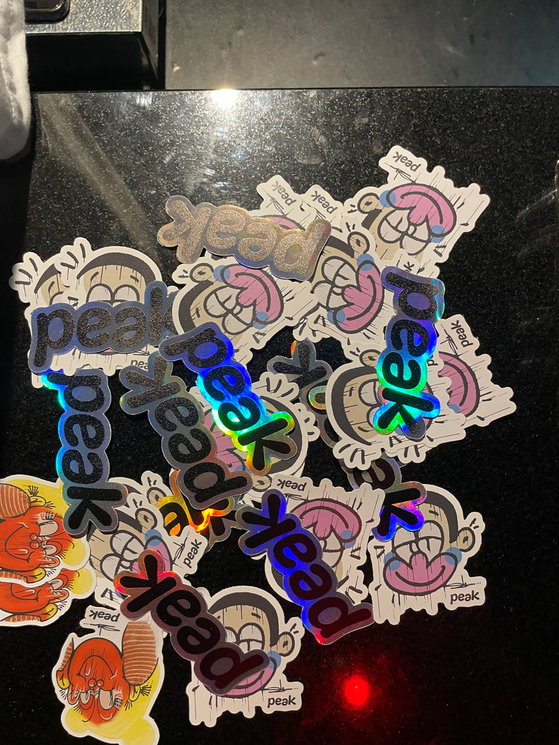 the slawn and peak stickers at the merch stand at the ministry of show event